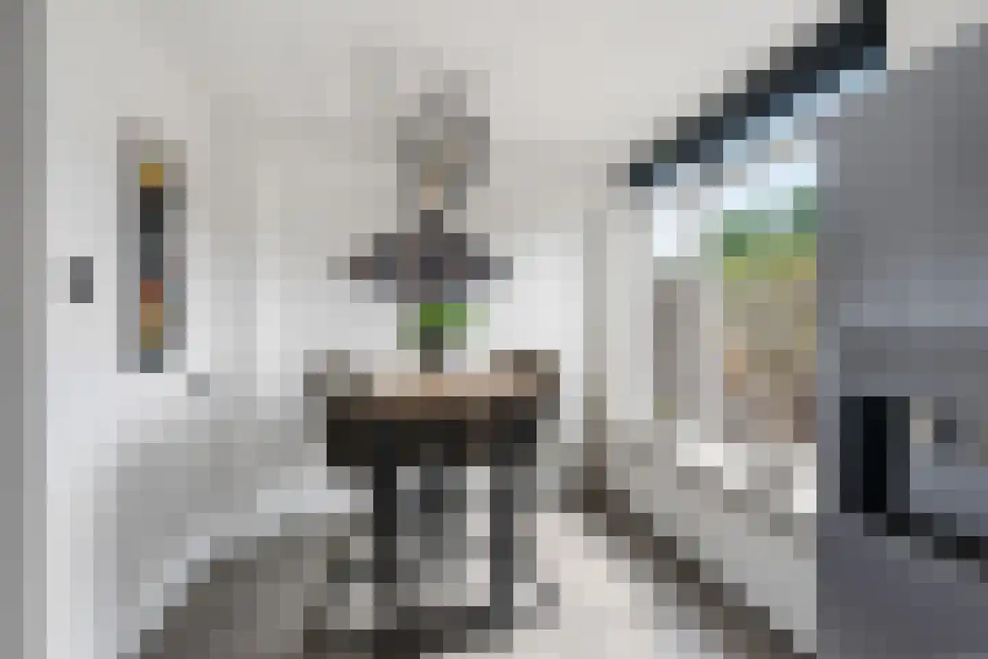 Bijlakker 50 Heerde thumbnail 13