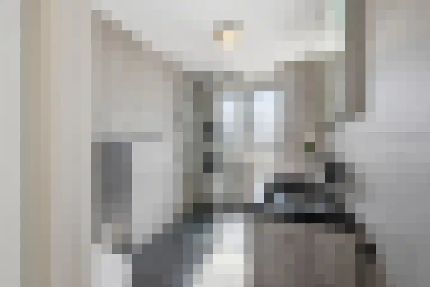Bijlakker 50 Heerde thumbnail 14