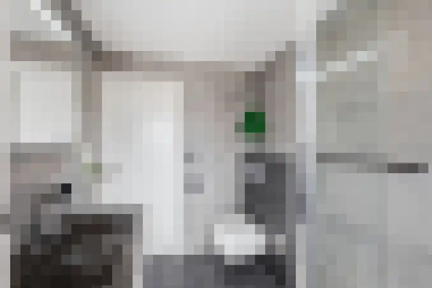 Bijlakker 50 Heerde thumbnail 15
