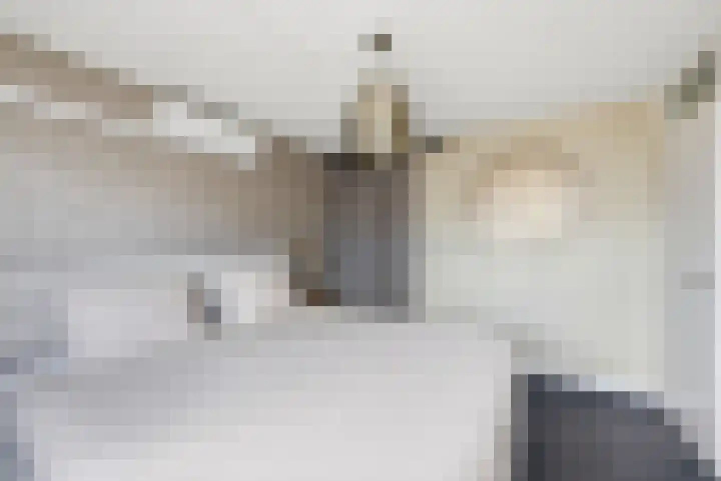 Bijlakker 50 Heerde thumbnail 17