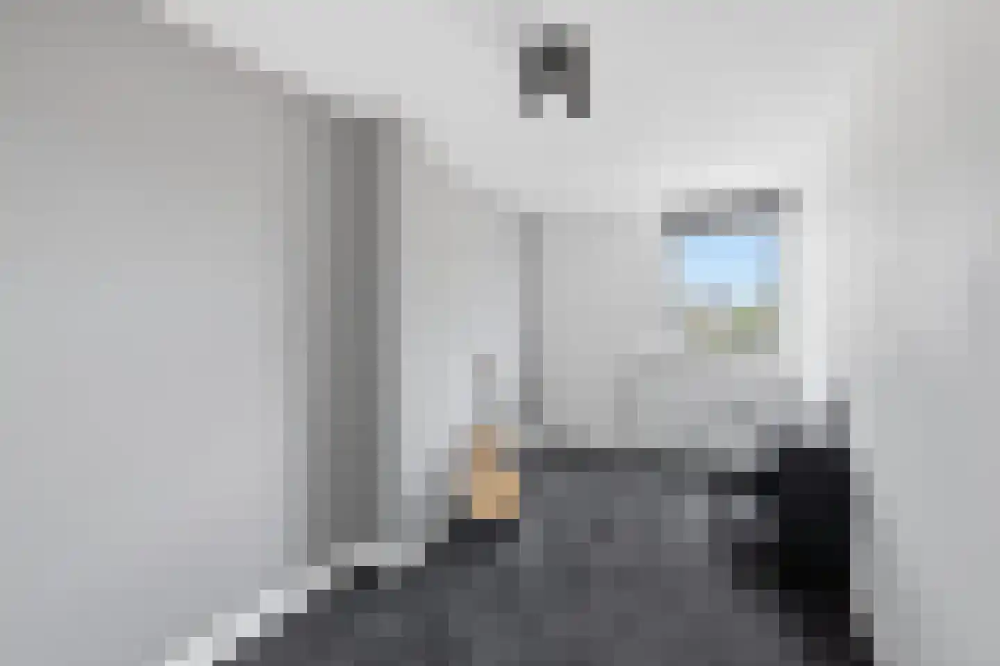 Bijlakker 50 Heerde thumbnail 21