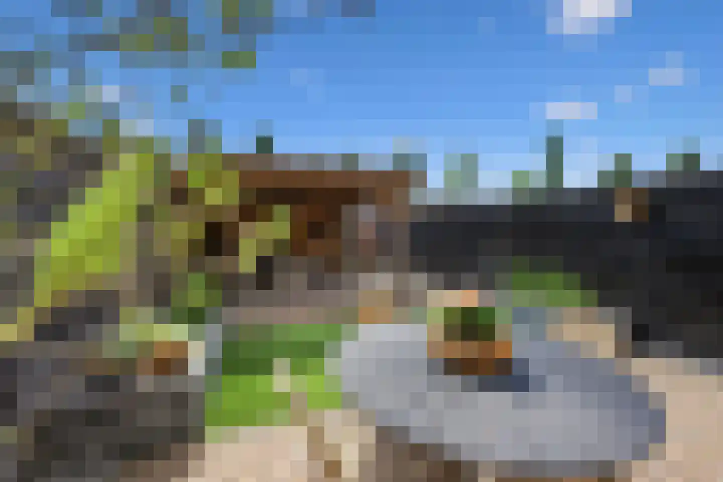 Bijlakker 50 Heerde thumbnail 26