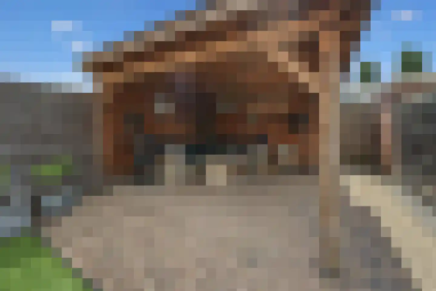 Bijlakker 50 Heerde thumbnail 27