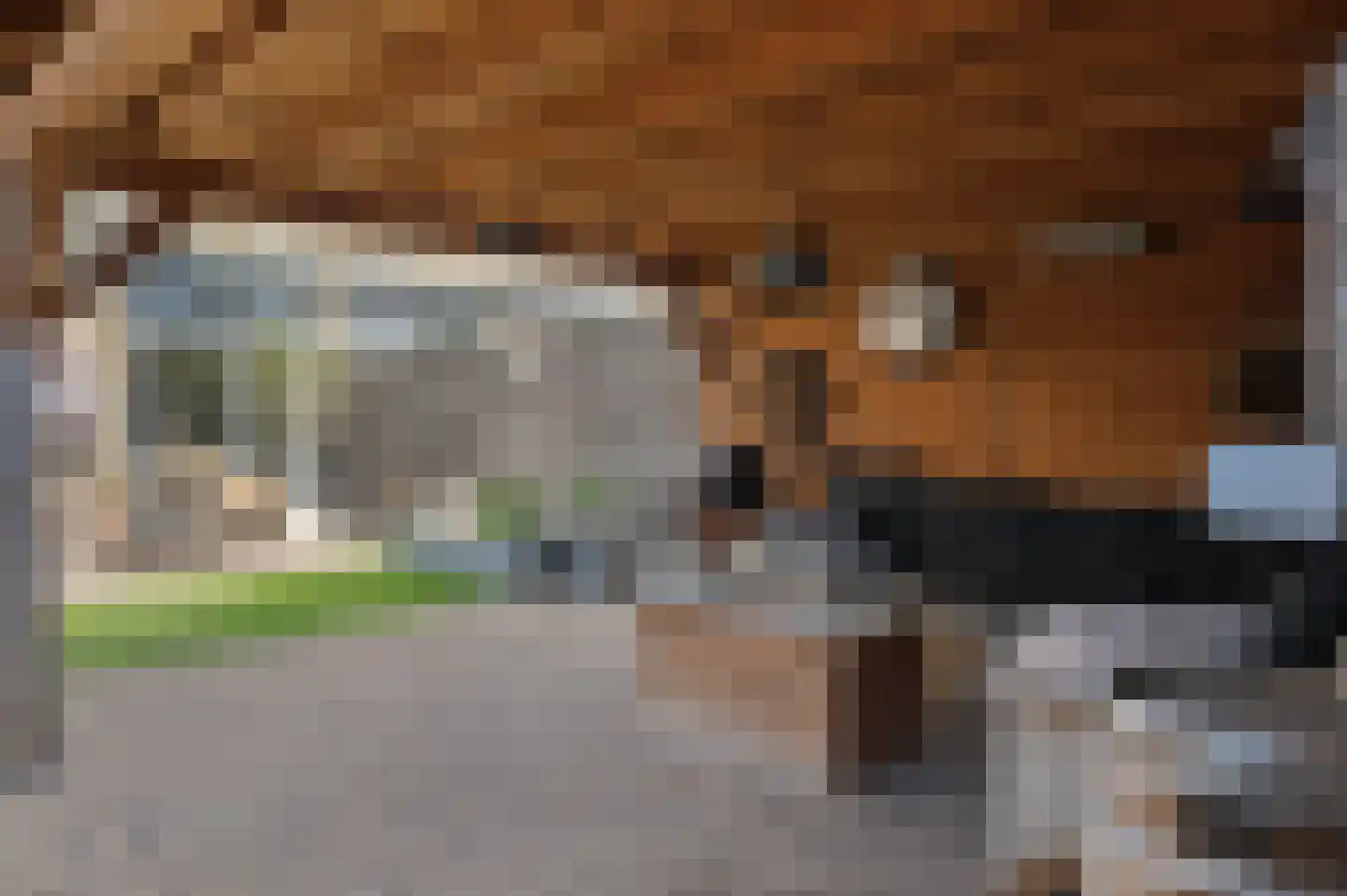 Bijlakker 50 Heerde thumbnail 28