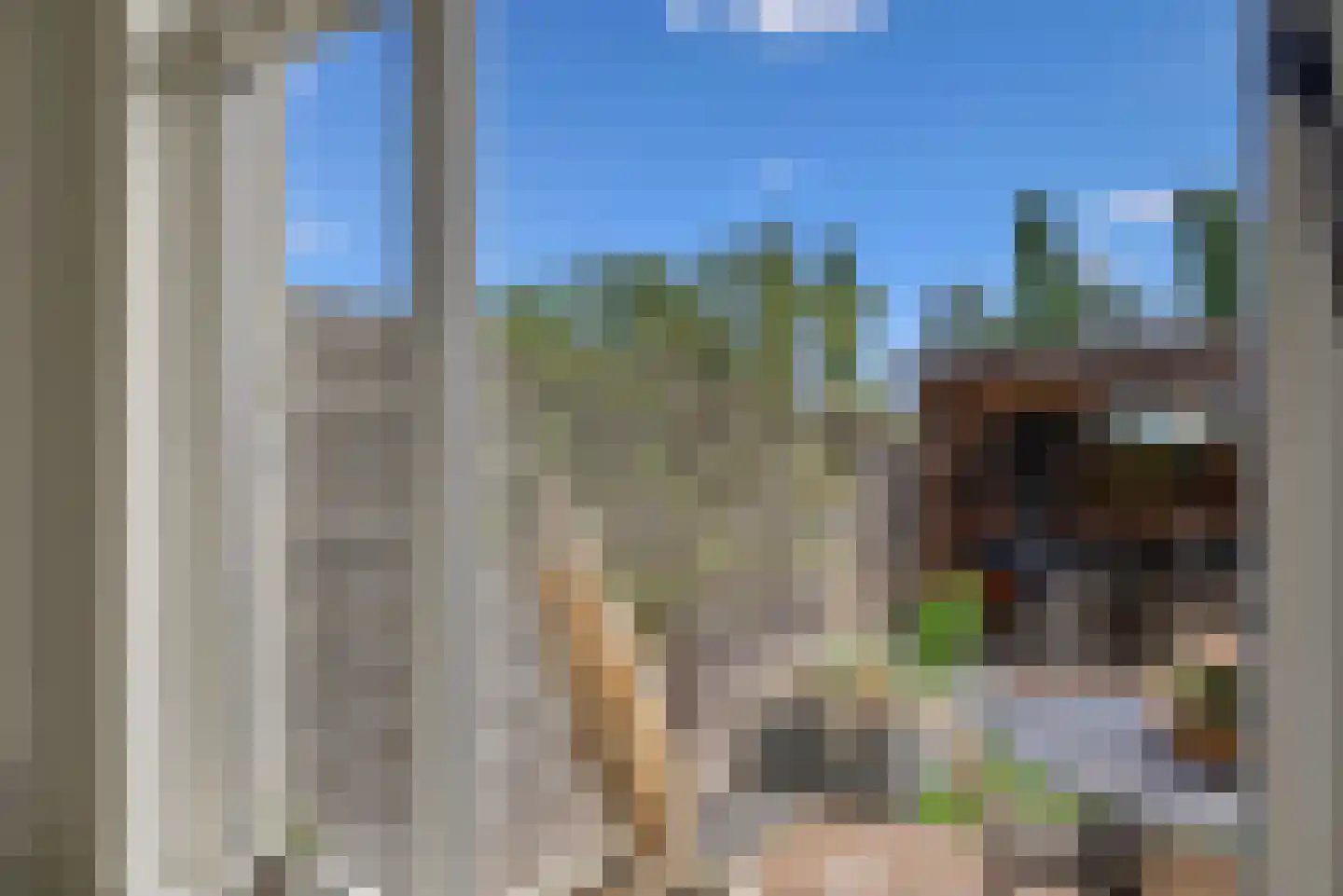 Bijlakker 50 Heerde thumbnail 9