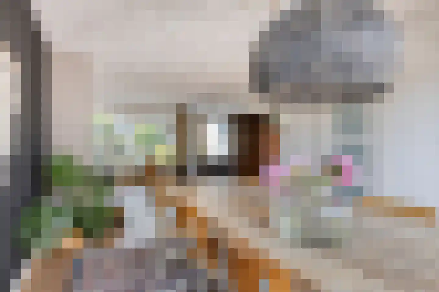 Bijlakker 9 Mierlo thumbnail 13