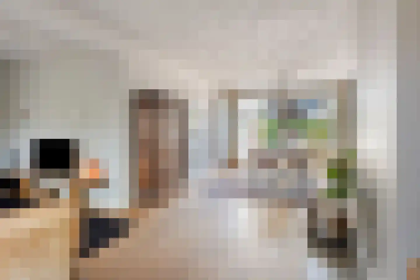 Bijlakker 9 Mierlo thumbnail 15