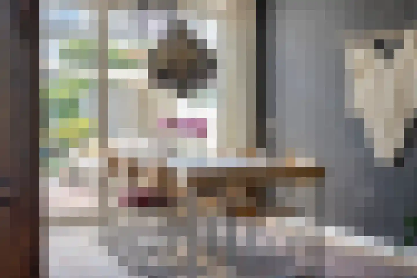 Bijlakker 9 Mierlo thumbnail 16