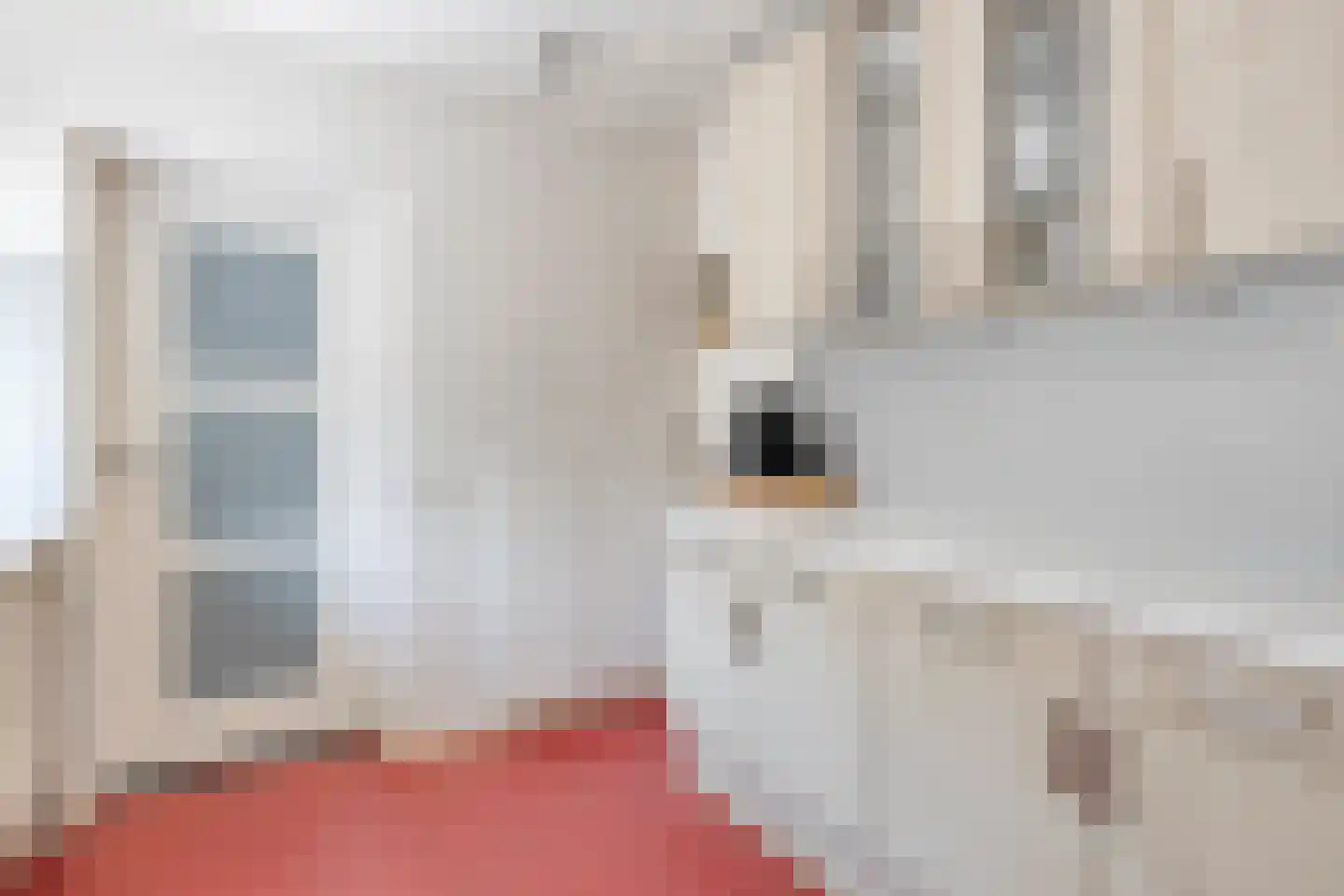 Bijlakker 9 Mierlo thumbnail 19
