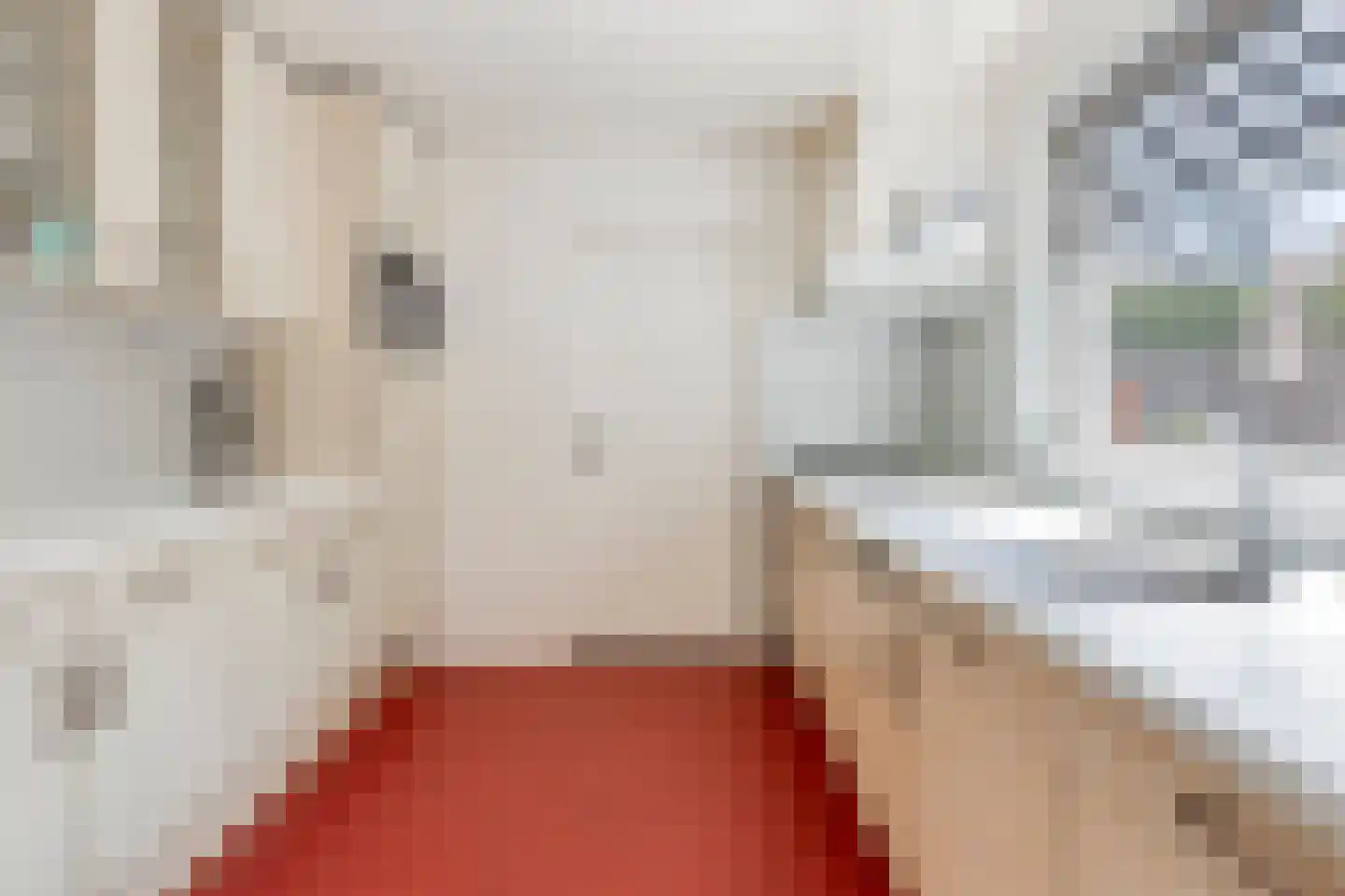 Bijlakker 9 Mierlo thumbnail 21