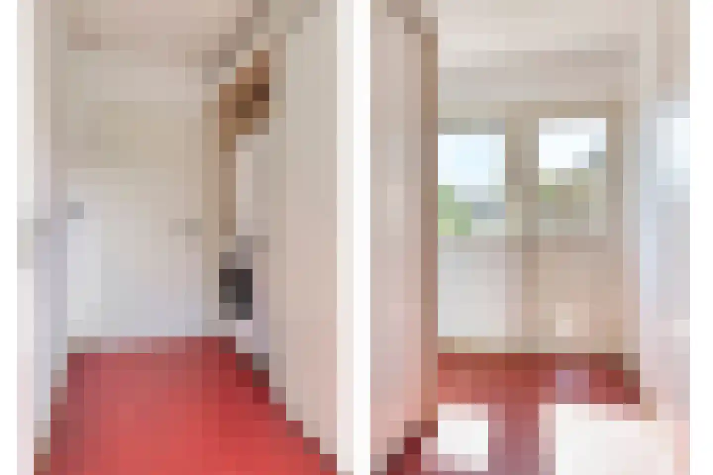 Bijlakker 9 Mierlo thumbnail 22