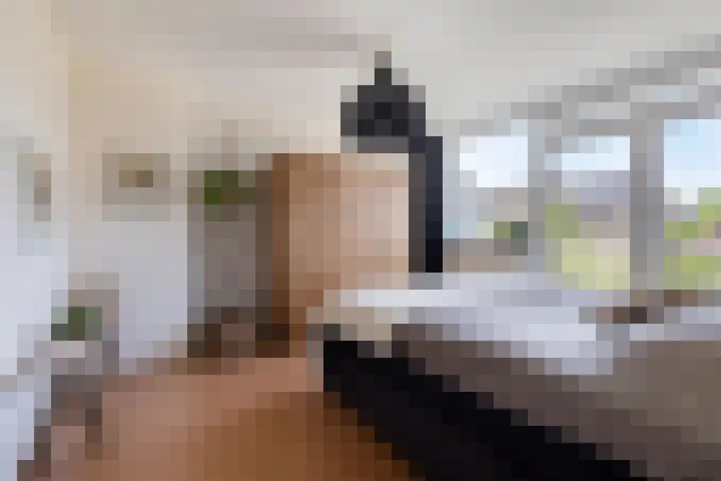 Bijlakker 9 Mierlo thumbnail 25