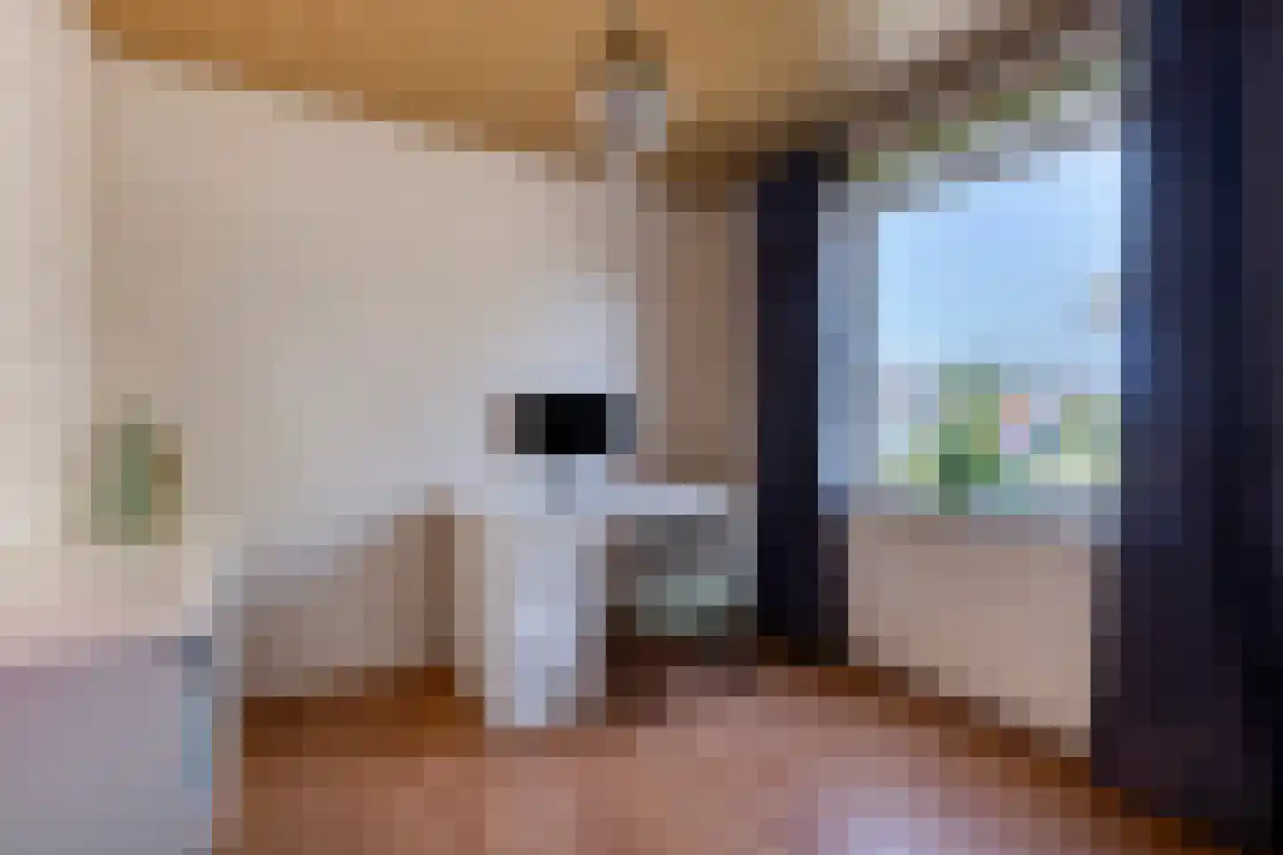 Bijlakker 9 Mierlo thumbnail 29