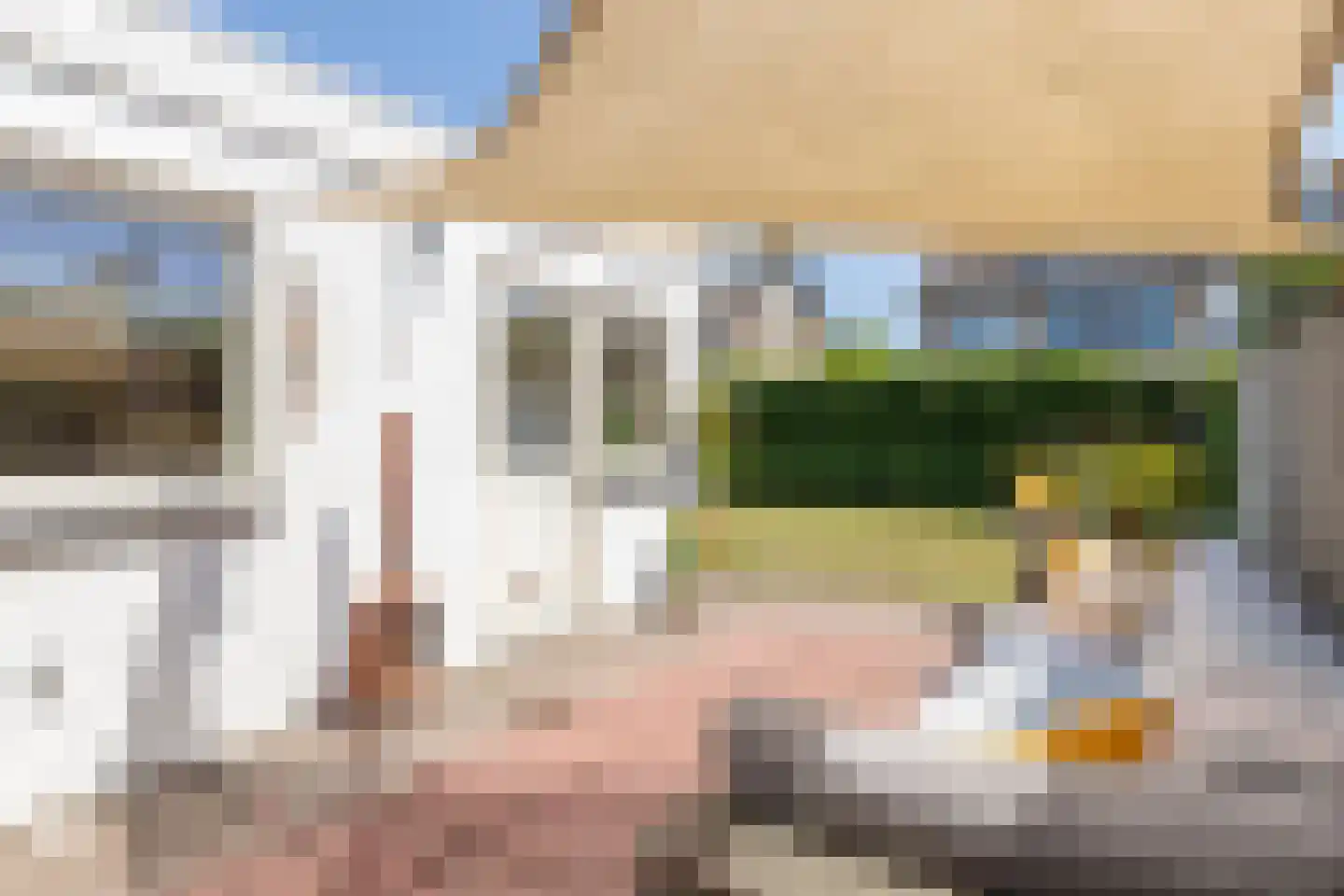 Bijlakker 9 Mierlo thumbnail 39