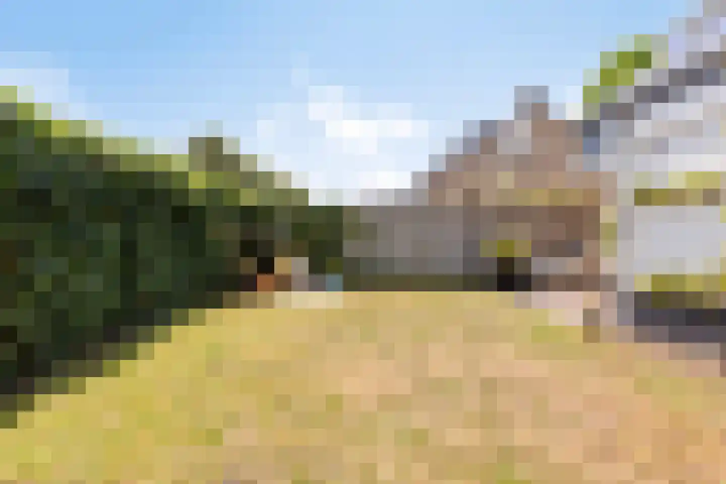 Bijlakker 9 Mierlo thumbnail 40
