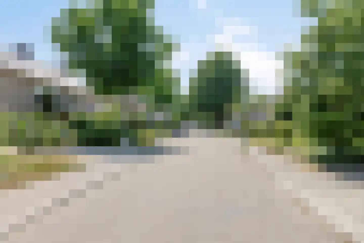 Bijlakker 9 Mierlo thumbnail 9