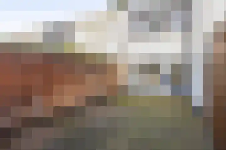 Bijland 110 Uden thumbnail 20
