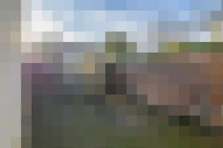 Bijland 110 Uden thumbnail 22