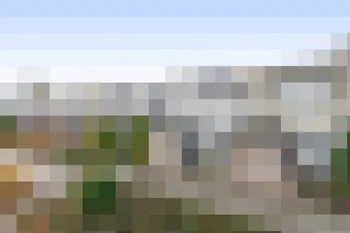 Bijland 110 Uden thumbnail 24