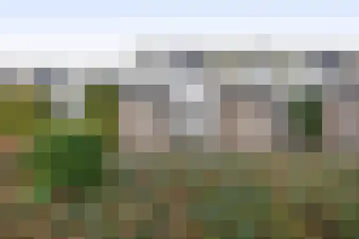 Bijland 110 Uden thumbnail 25