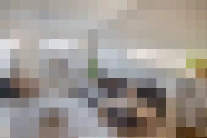 Bijland 110 Uden thumbnail 4