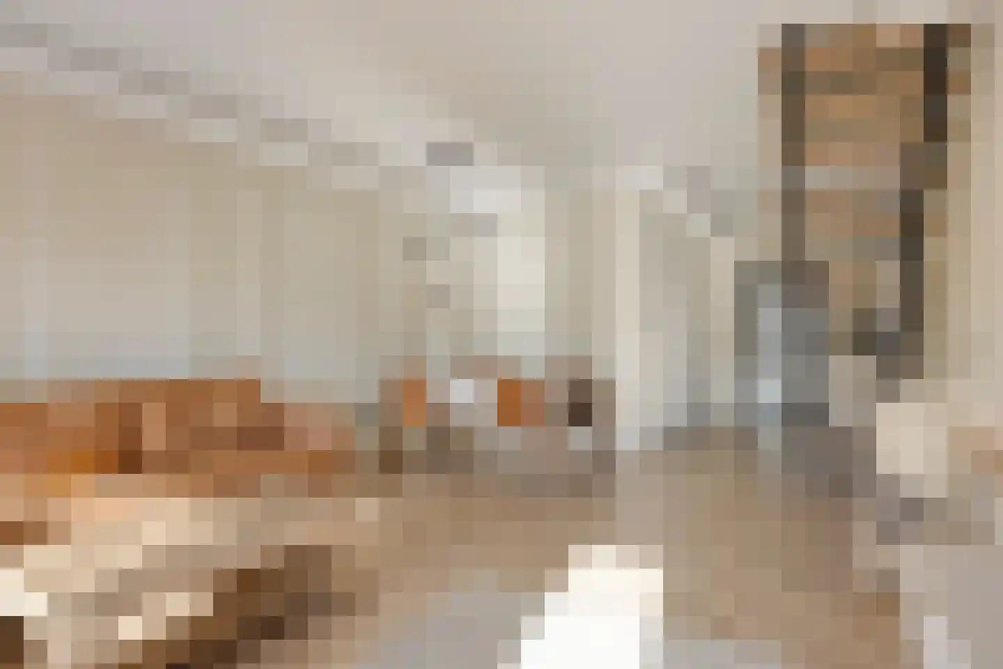 Bijland 202 Uden thumbnail 13