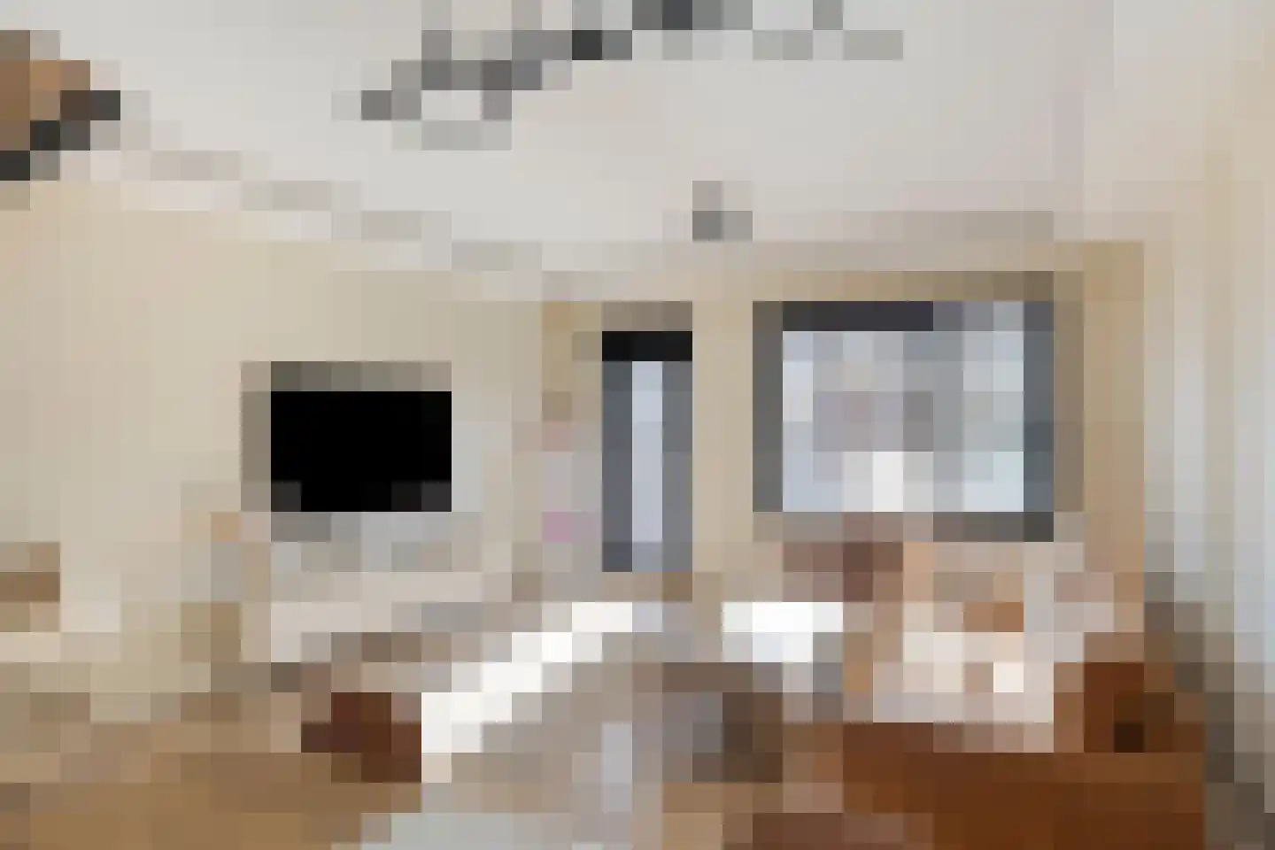 Bijland 202 Uden thumbnail 15