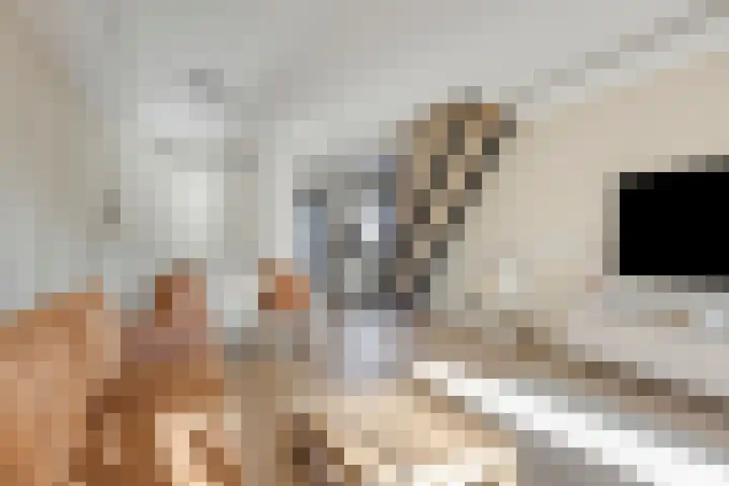 Bijland 202 Uden thumbnail 16