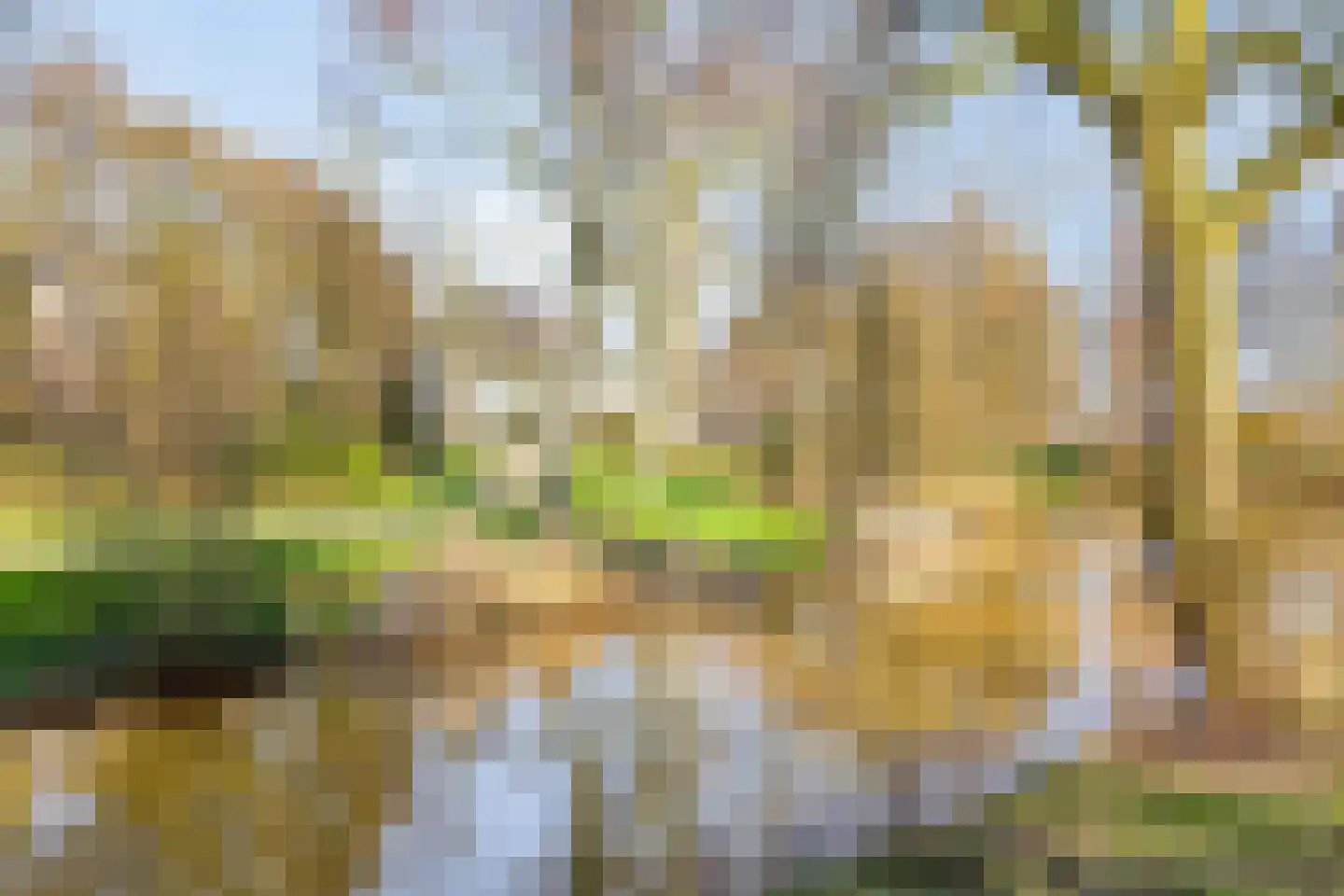 Bijland 202 Uden thumbnail 30