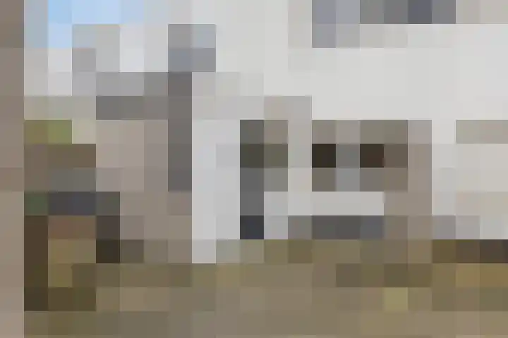 Bijland 206 Uden thumbnail 5