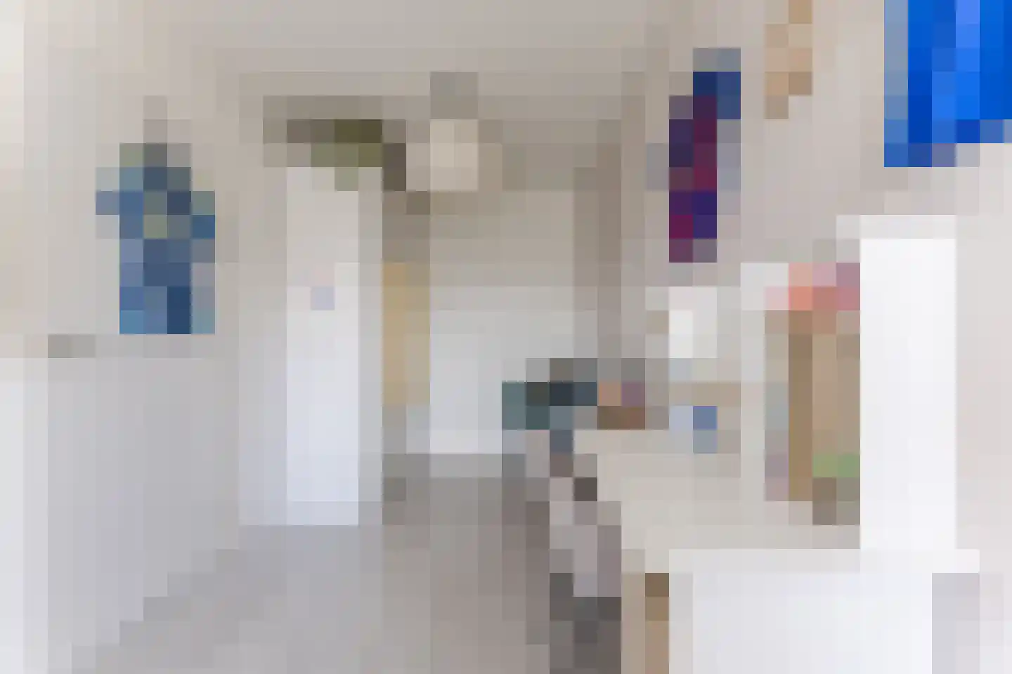Bijland 501 Uden thumbnail 22