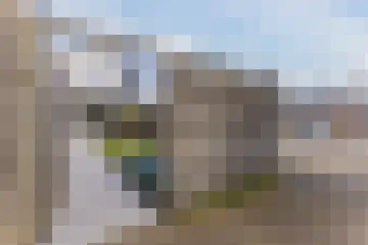Bijland 501 Uden thumbnail 27