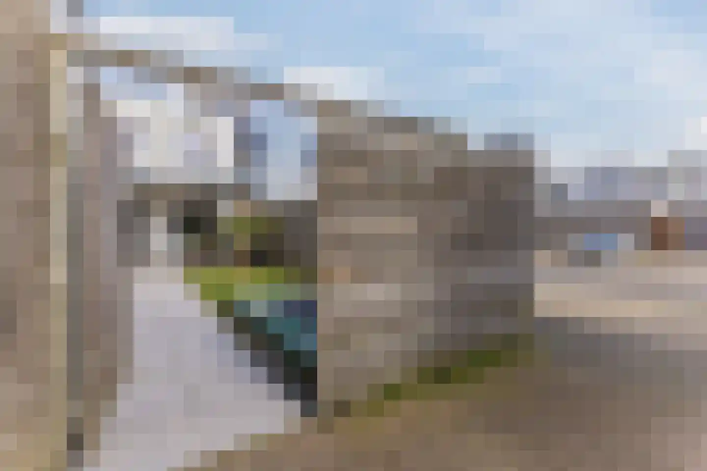 Bijland 501 Uden thumbnail 27