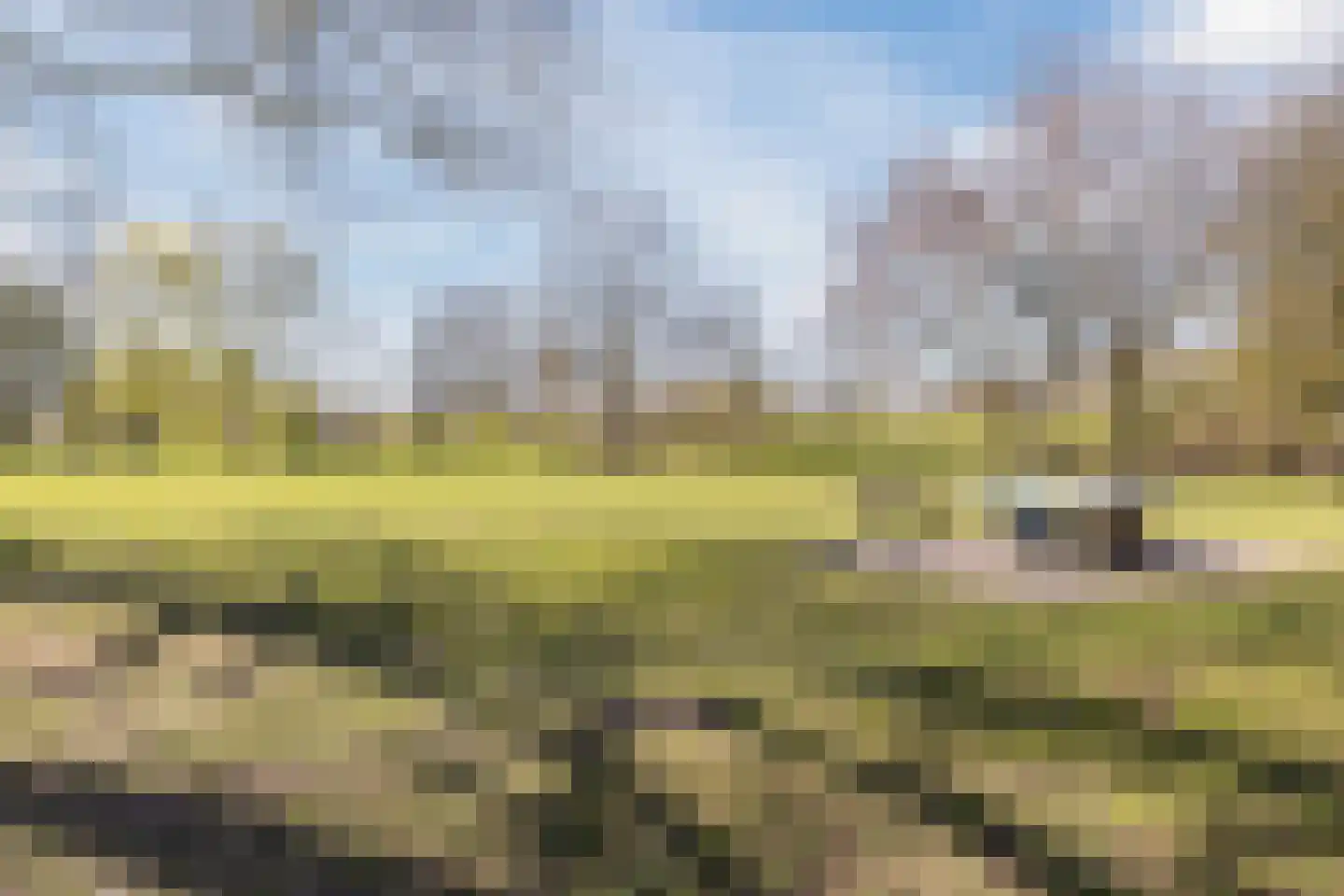 Bijland 501 Uden thumbnail 28