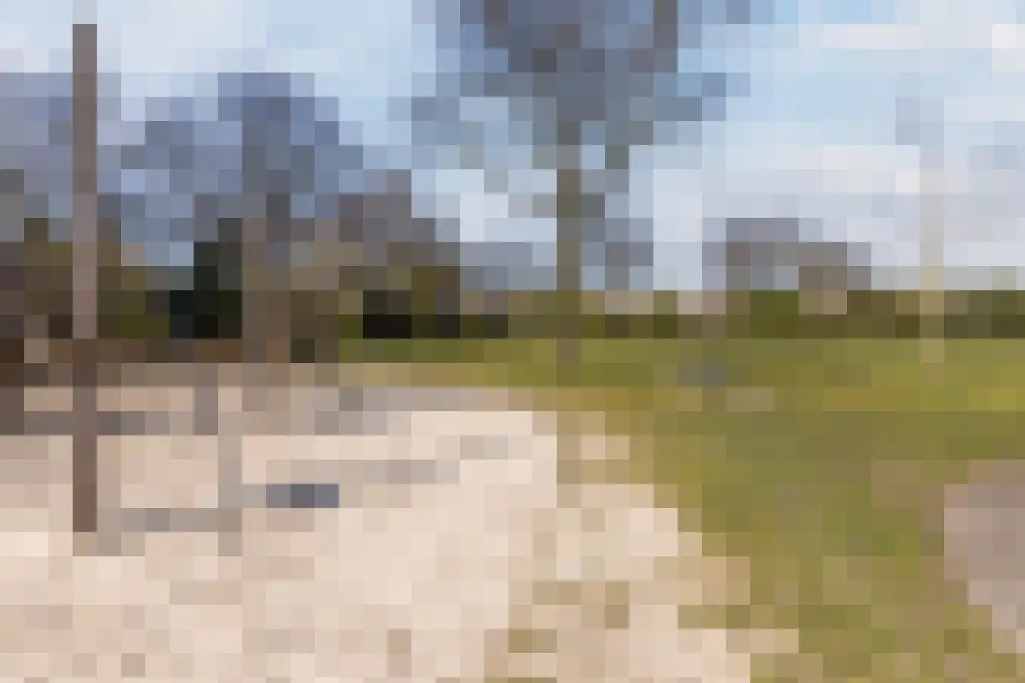 Bijland 501 Uden thumbnail 6