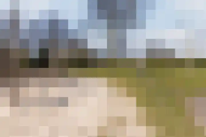 Bijland 501 Uden thumbnail 6