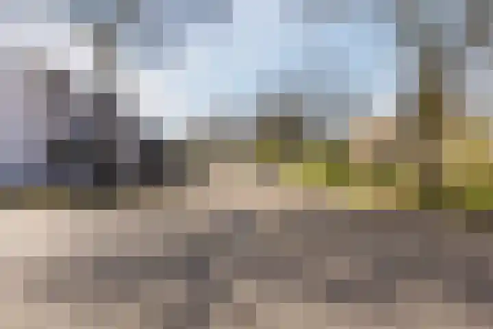 Bijland 501 Uden thumbnail 7