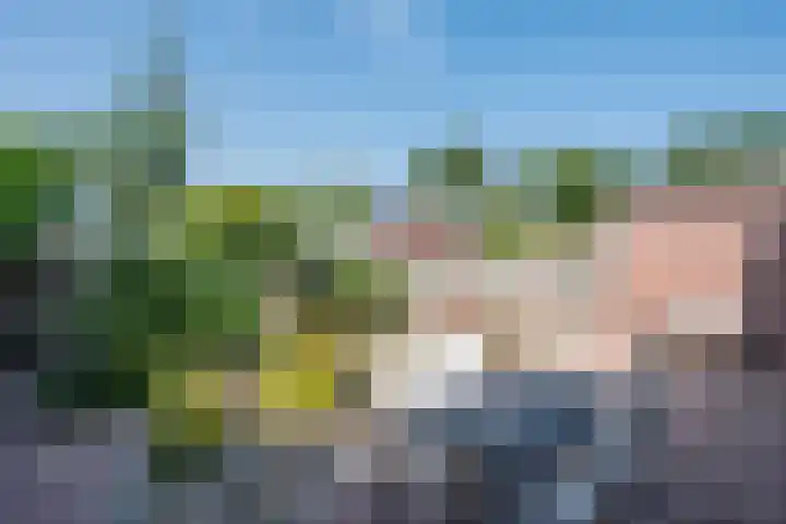 Bijland 613 Uden thumbnail 10