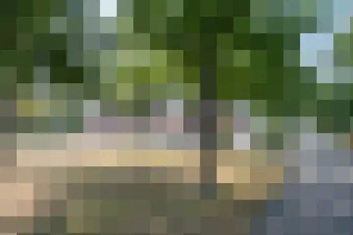Bijland 613 Uden thumbnail 4