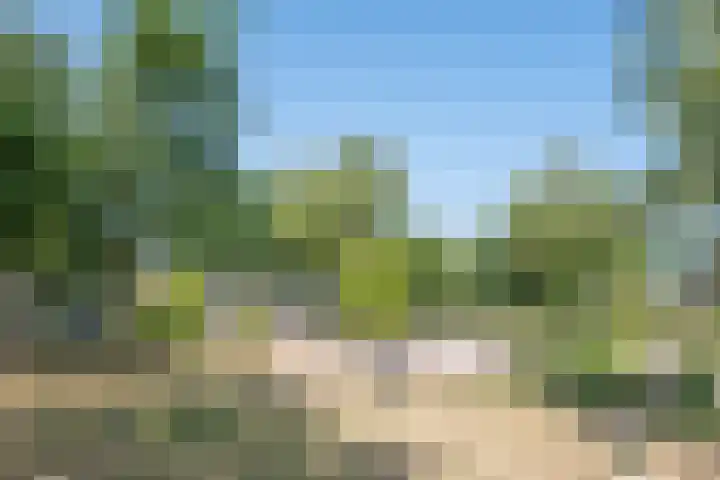 Bijland 613 Uden thumbnail 5
