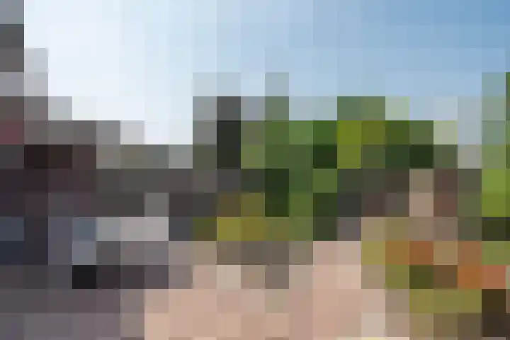 Bijland 613 Uden thumbnail 9