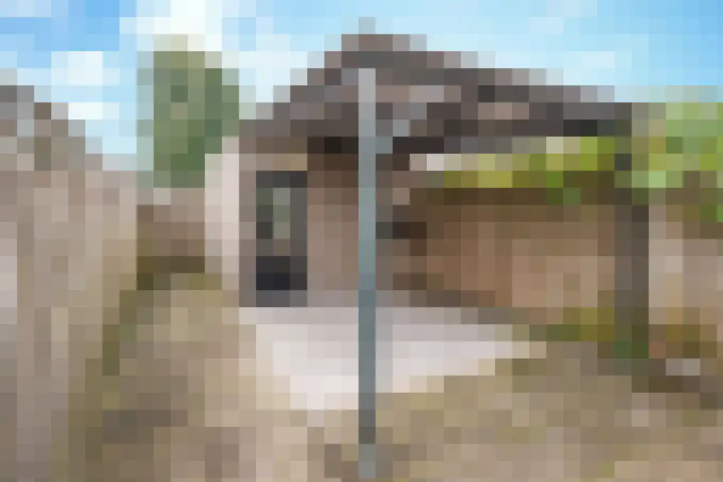 Bijland 802 Uden thumbnail 28