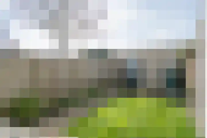 Bijland 816 Uden thumbnail 20