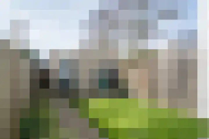 Bijland 816 Uden thumbnail 21