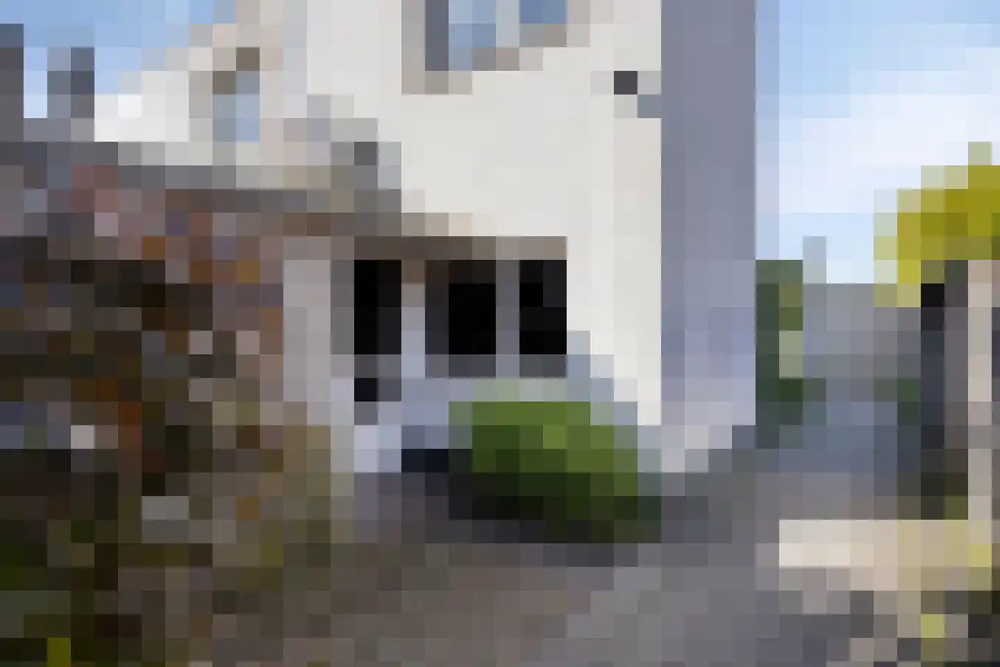 Bijland 925 Uden thumbnail 23
