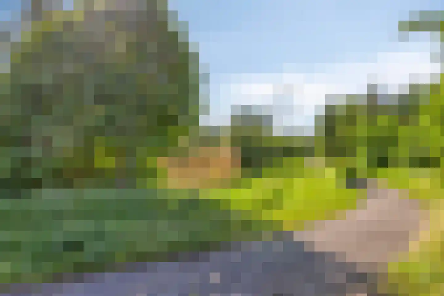 Bijland 925 Uden thumbnail 30