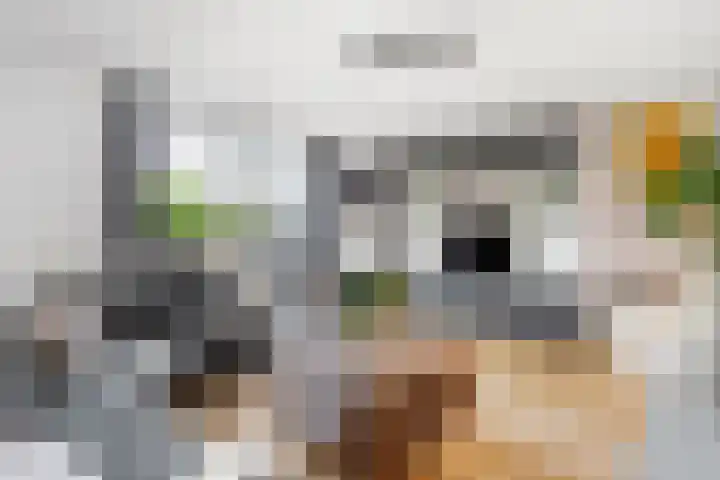 Bijlander 20 Woerden thumbnail 10