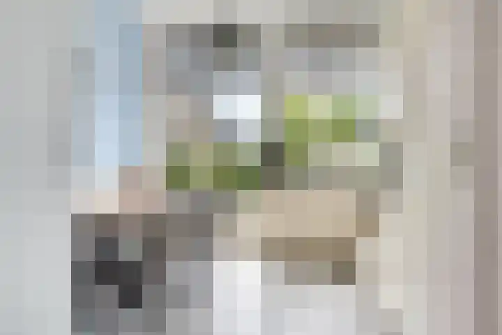 Bijlander 20 Woerden thumbnail 17