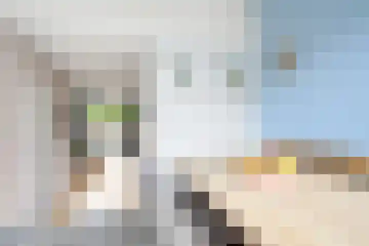 Bijlander 20 Woerden thumbnail 19