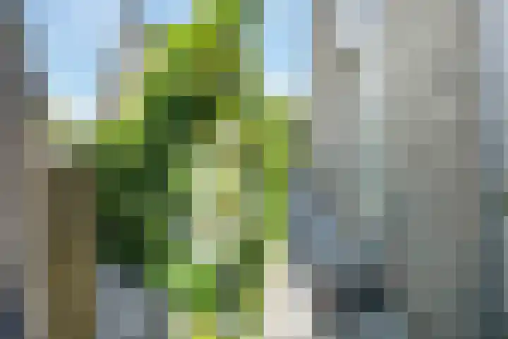 Bijlander 20 Woerden thumbnail 24